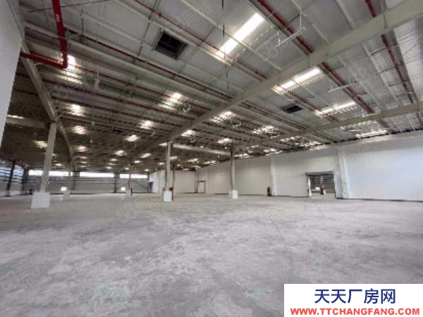 臺州市椒江(出租) 出租集聚區全新標準物流倉庫有高臺大車進出方便