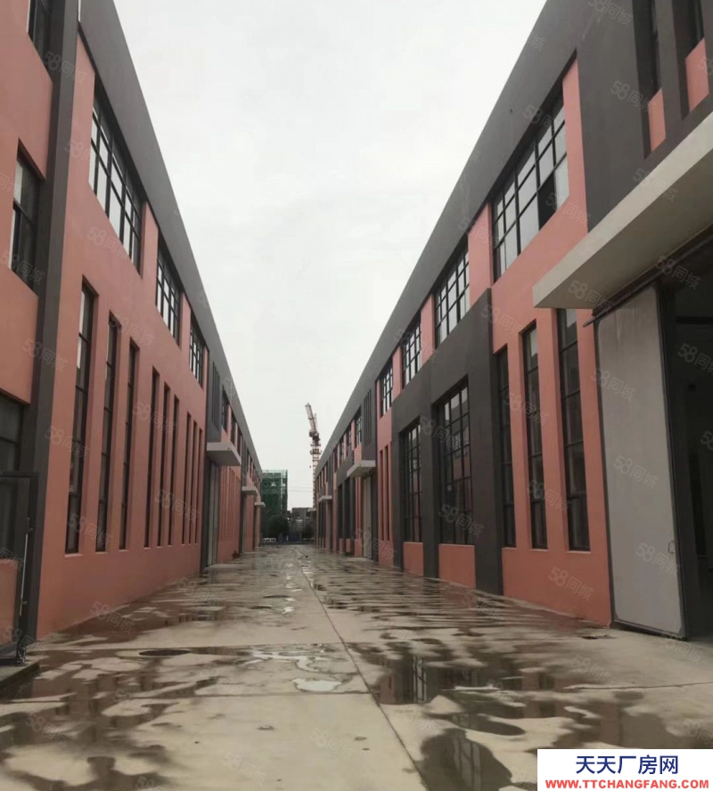 (出租) 常州鐘樓獨(dú)棟機(jī)械行車廠房1000 2500 3300平米出租適合生物醫(yī)藥