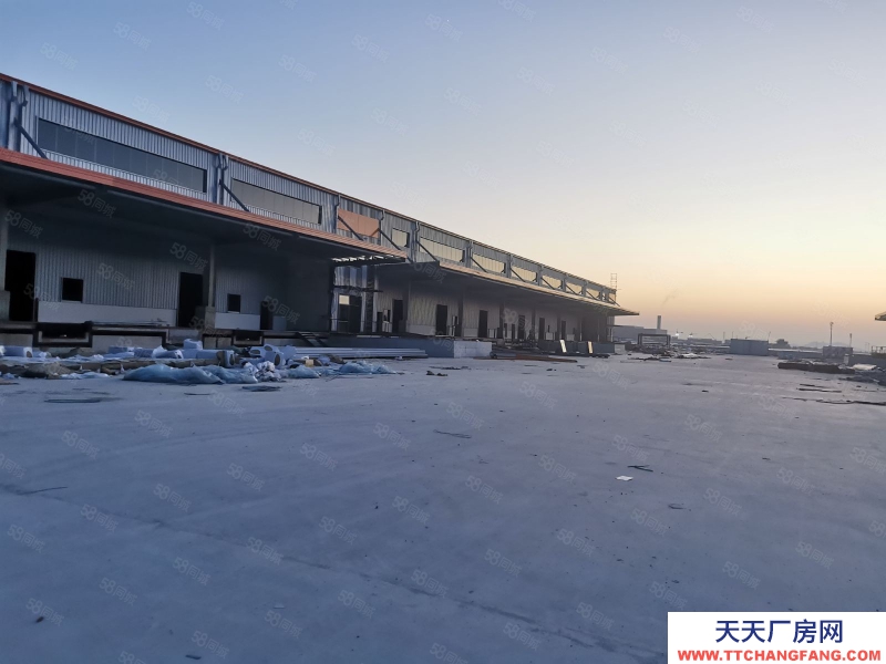 臺州市椒江(出租) 出租濱海國標(biāo)物流園國標(biāo)月臺十萬方。