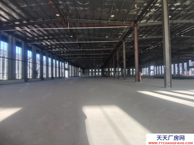 臺州市椒江(出租) 出租濱海 5000平倉庫 只適合倉庫 國企內部