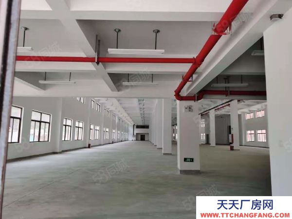 福州市連江調味品廠房  連江吉百年工業園二期標準鋼混結構廠房二層1458火熱招商中