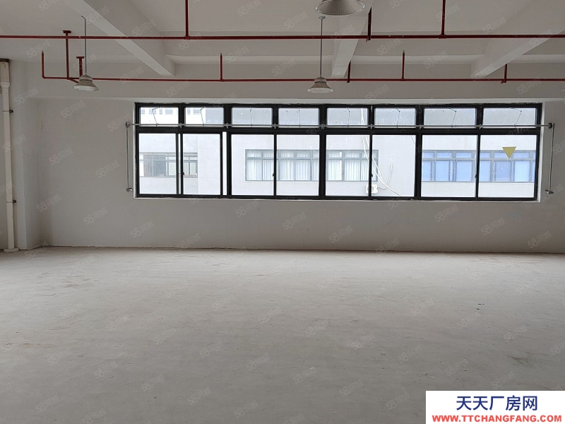 臺州市黃巖(出租) 出租北城工業區2樓廠房950平方 14元平  食糖