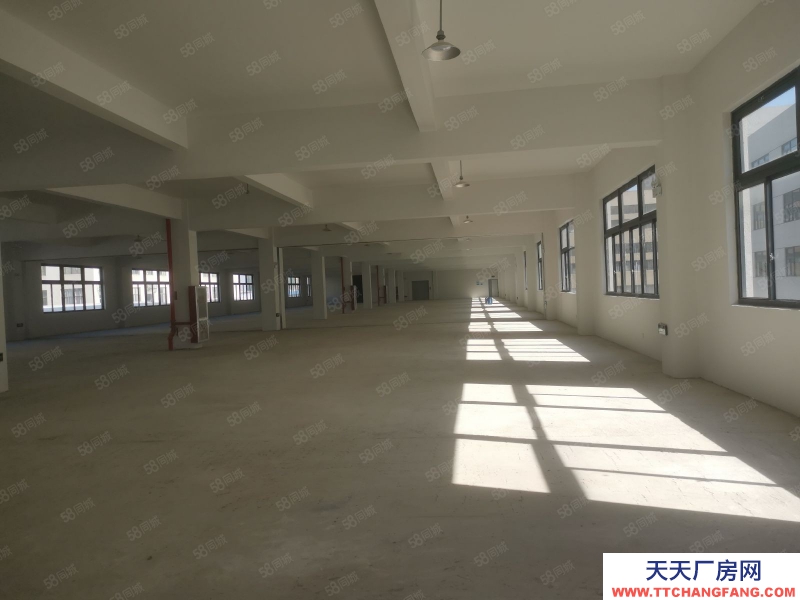 臺州市黃巖(出租) 出租澄江工業區倉庫1000平方高4米12元平方可分割500