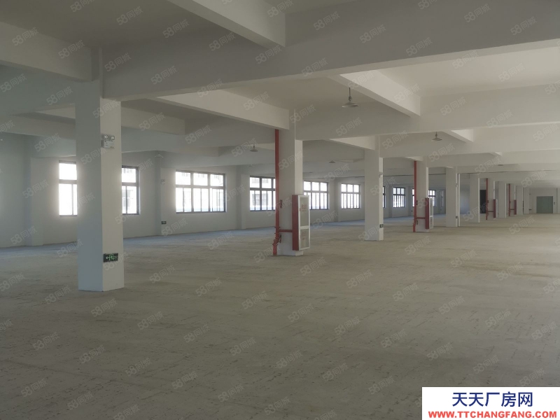 臺州市黃巖(出租) 出租江口工業區獨門獨戶2200平方13元平集裝箱可進