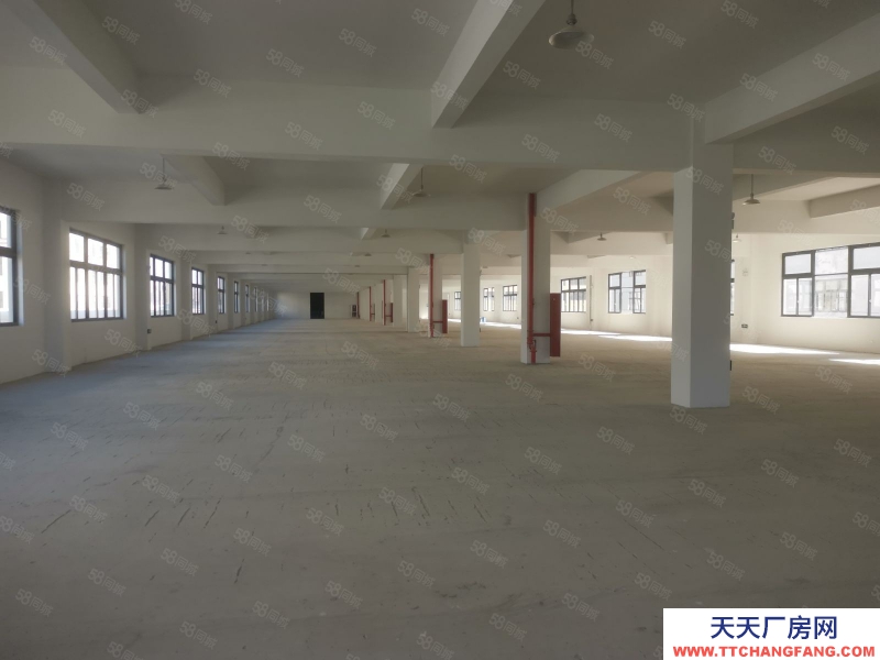 臺州市黃巖(出租) 岀租江口工業區倉庫600平13元平方大車可進