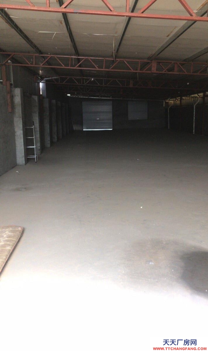 滄州 鹽山(出租) 適合倉庫、電商，二手車等多種用途