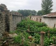 (出租) 漯河舞陽現(xiàn)有一閑置養(yǎng)殖場對外出租，價格面議