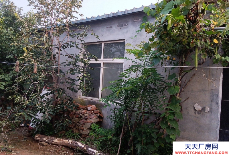 衡水 桃城(出租) 水電齊全交通便利，道路邊方便