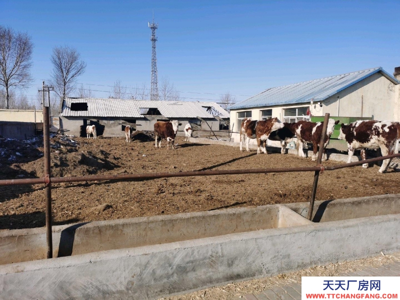 (出售) 雙泡子北腰伯吐養牛小區 廠房 5400平米