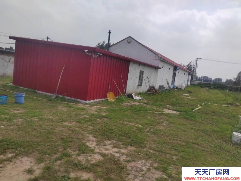 (出售) 出租 出售廠房 非常適合興建糧庫、生產加工企業和養殖