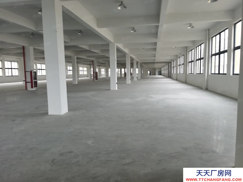 臺州市黃巖(出售) 出售黃巖江口廠房,土地12米,建筑面積13500平。一樓8米 冷凍飲品