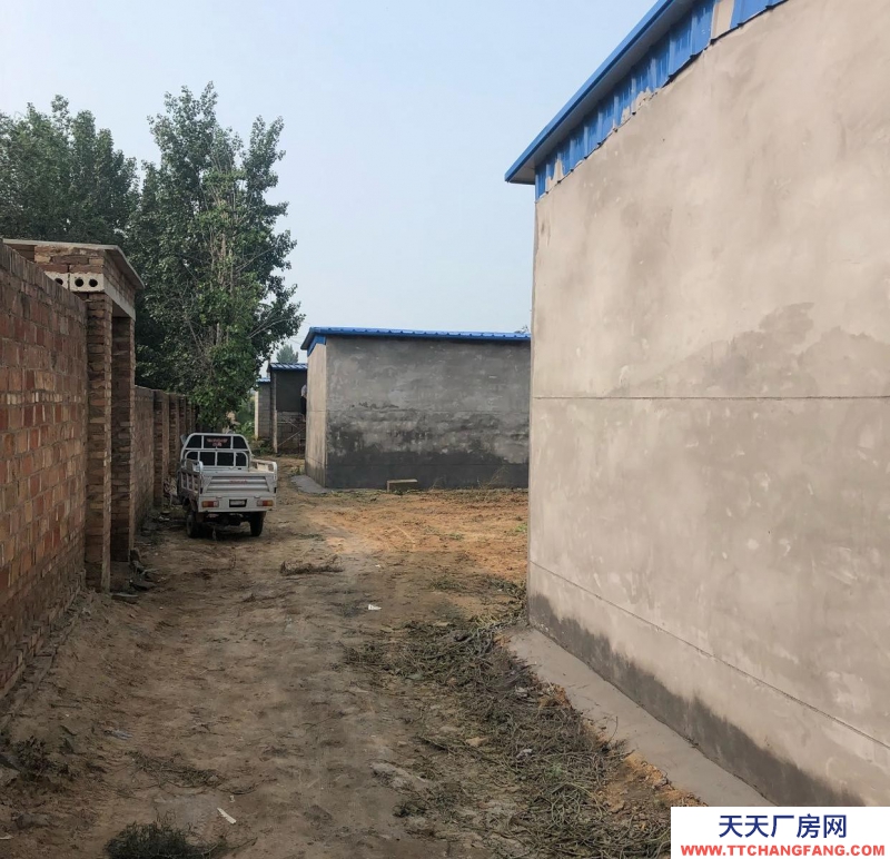 衡水 棗強(qiáng)(出租) 一套院300平米，共四套院，北房水泥里外包括地面抹灰，