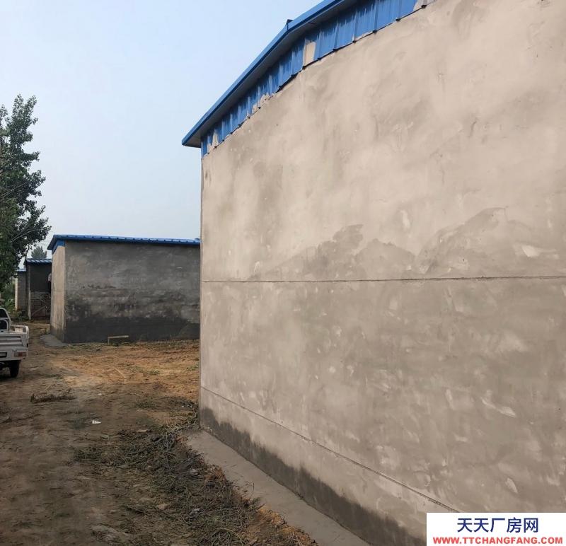 衡水 棗強(出租) 一套院300平米，共四套院，北房水泥里外包括地面抹灰，