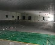 (出租)漯河臨潁 新廠房，周邊食品廠，臨近高速路口，交通便利