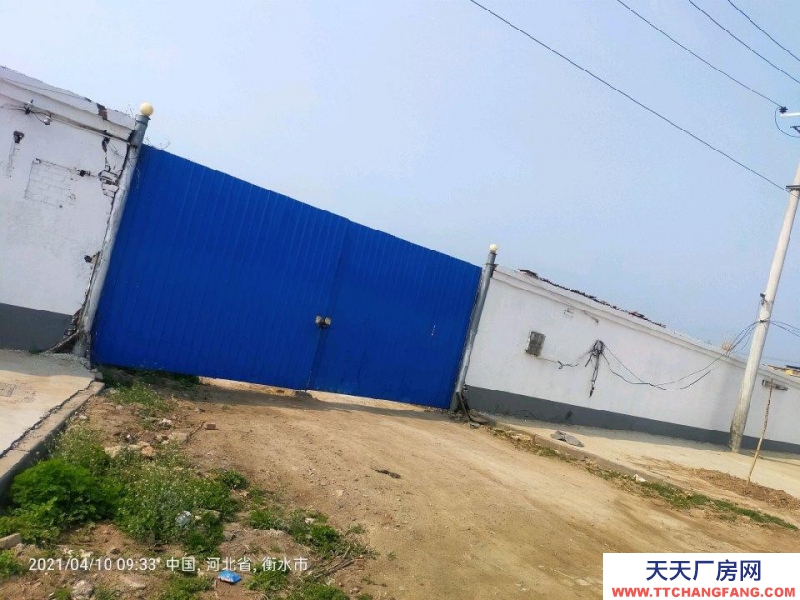 衡水 棗強(速凍食品廠房出租) 交通便利，水電齊全，可進13米大車