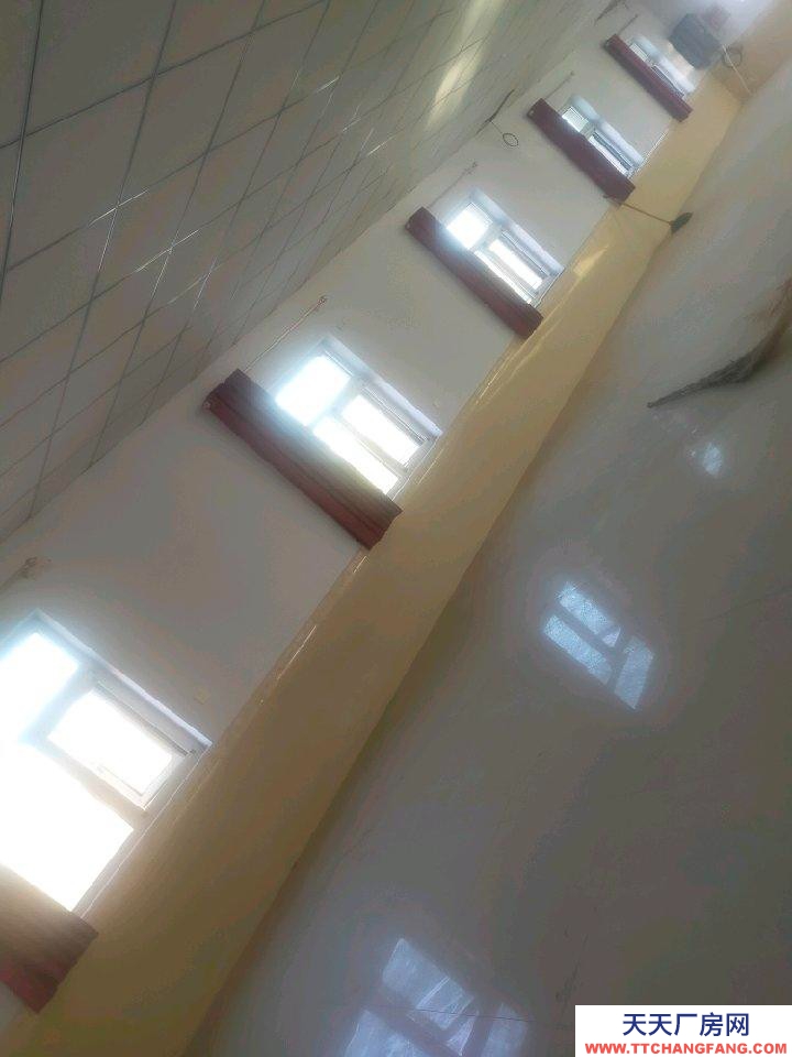 衡水 深州茶制品廠房(出租) 干凈整潔，帶動力電240平一處，120平兩處可分租