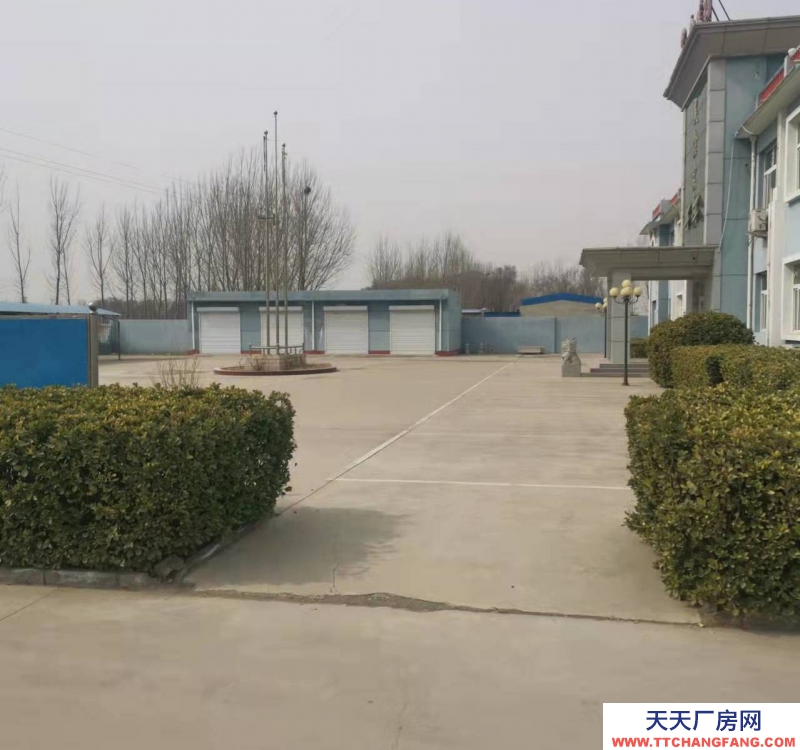 衡水 冀州炒貨食品及堅果制品廠房(出租) 緊鄰106國道，冀州南高速口，出入方便。