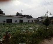 (出租) 漯河臨潁庫房周邊環境挺好的 道路暢通