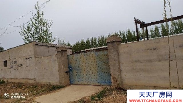 衡水 冀州(出租) 出租彭村村南庫房450平米