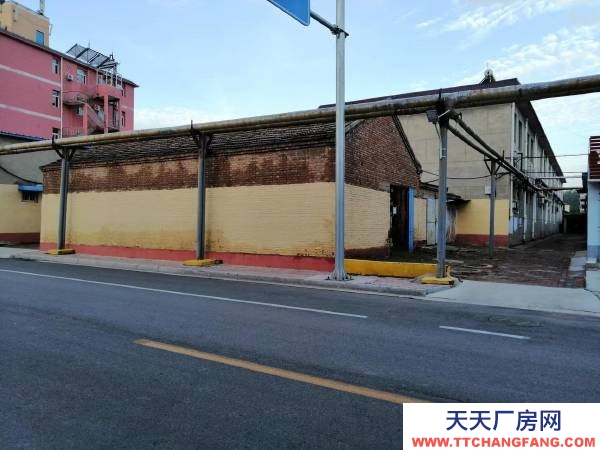 衡水 冀州(出租) 緊靠惠民街，交通方便。南北長14米，東西寬7.25米。