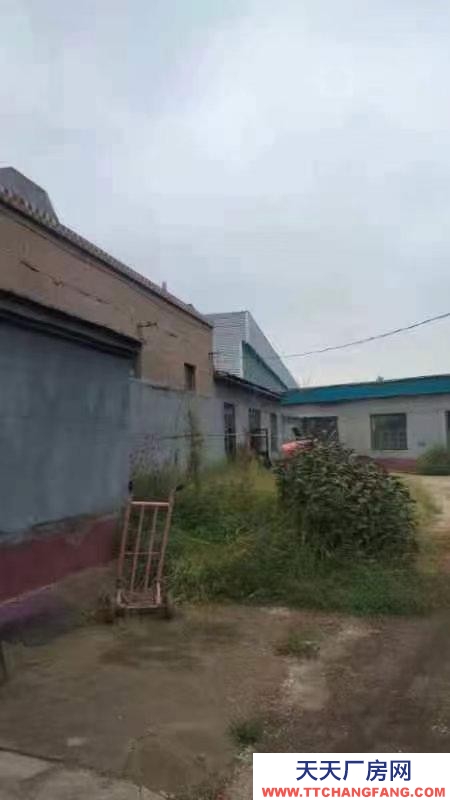 衡水 武邑縣 淀粉及淀粉制品廠房(出租) 水電齊全交通方便可進(jìn)大車(chē)