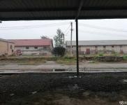 (出租) 出租三門峽陜州區(qū)廠房/倉庫鄰近省道面積任選