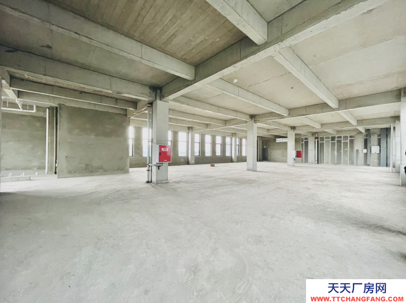 出租天府新區獨棟總部辦公2000平，可生產，氣質一流，特惠！