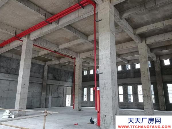 福州市永泰冷凍飲品廠房  超高首層，獨棟廠房，適合許多行業