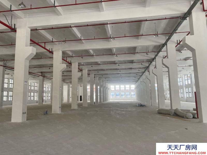 臺州市路橋(出租) 出租濱海標準廠房一到三層共10500平高8米標準大貨梯廠房好 食糖