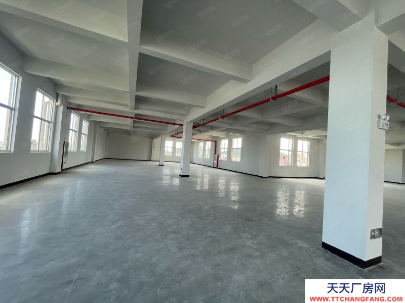 臺(tái)州市路橋(出租) 新橋獨(dú)門獨(dú)院新廠房共4層4500平高度8米可分租 酒類