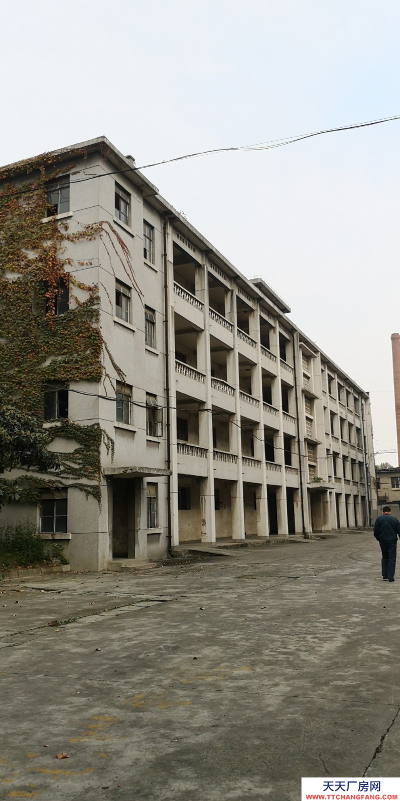 出租金牛沙河源 廠房 倉庫 場地 川建園區內