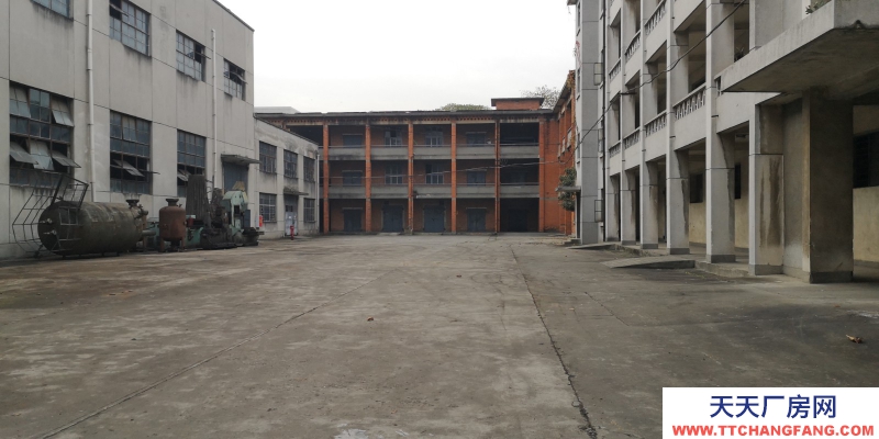 出租金牛沙河源 廠房 倉庫 場地 川建園區內