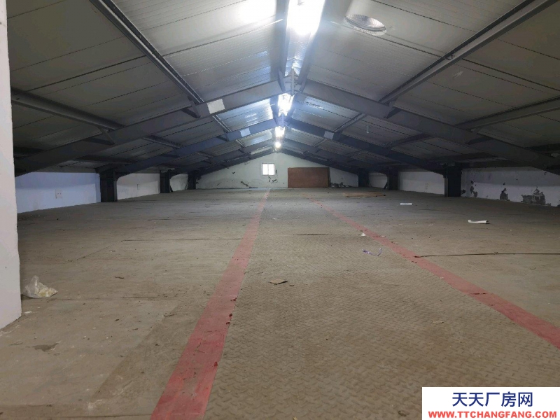 臺州市路橋(出租) 二層閣樓倉庫，月租金每平方7元，電梯上下貨，大車進出方便