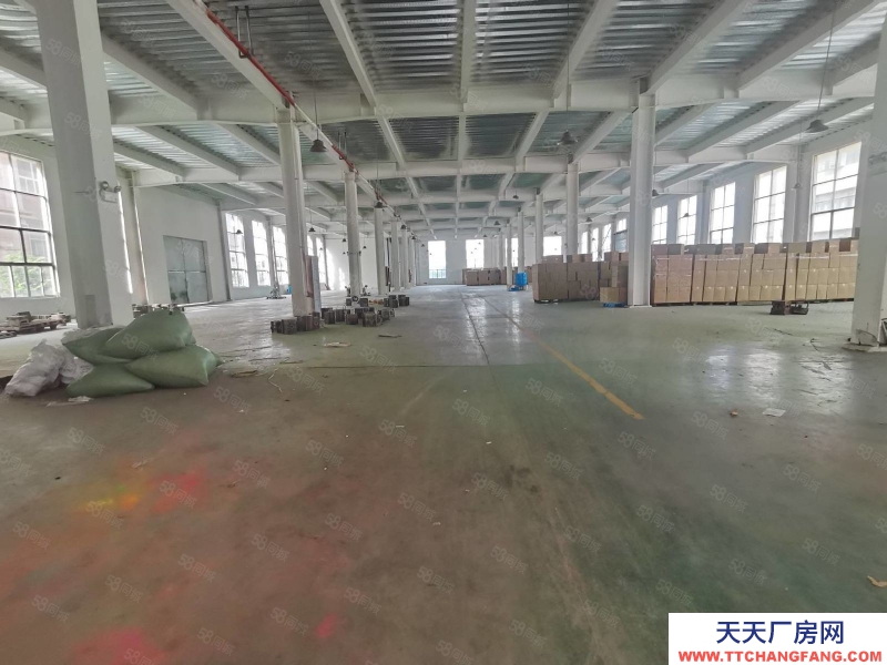 臺州市路橋(出租) 路南 路澤太旁邊能走17米車1樓800平方