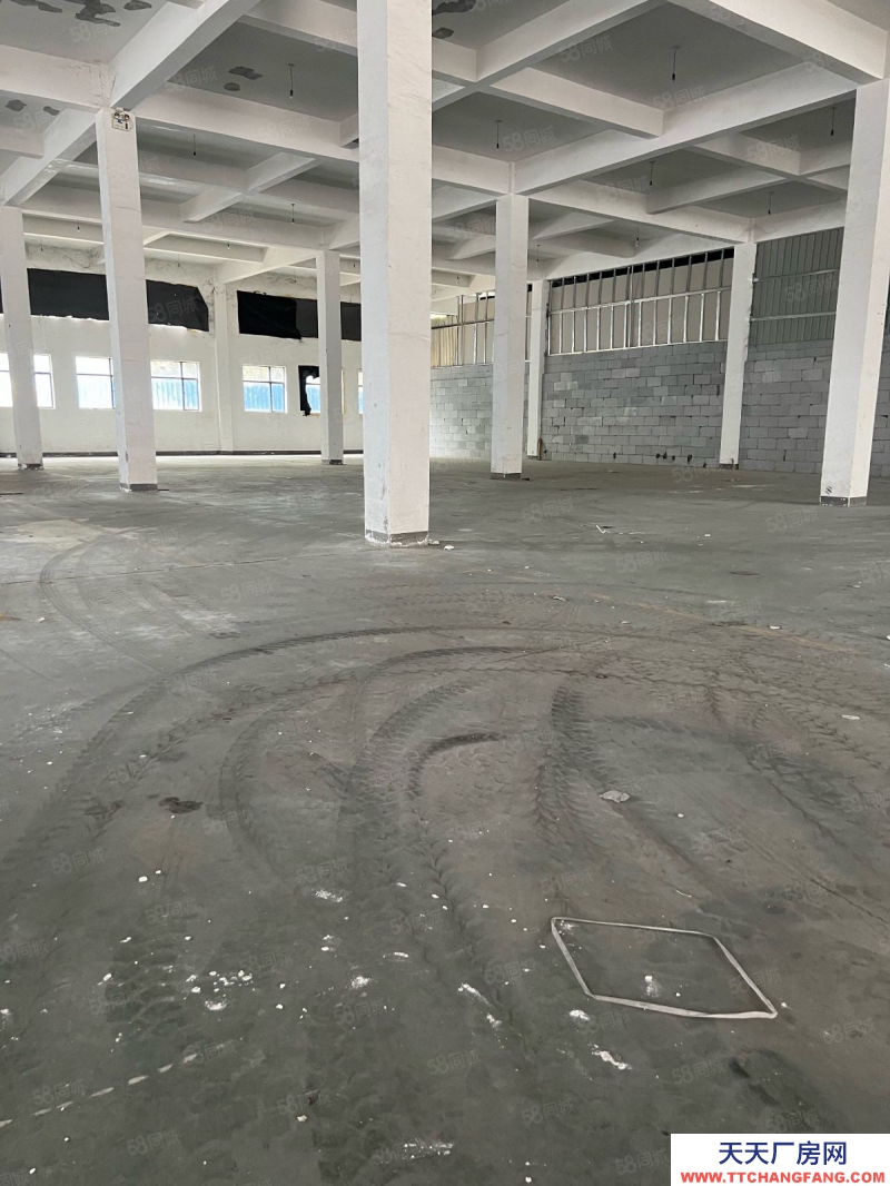 臺州市路橋(出售) 出售廠房路南眾創上張工業區獨門獨院    蔬菜制品