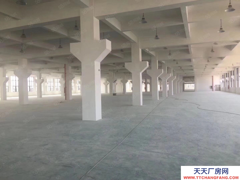 臺州市路橋(出售) 出售路橋,獨門獨院17畝,10000平,誠心出售4200萬 速凍食品