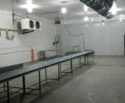 (出租) 鶴壁山城新建肉類冷凍食品廠,內(nèi)設(shè)冷庫設(shè)備,證件齊全,即刻投入使用