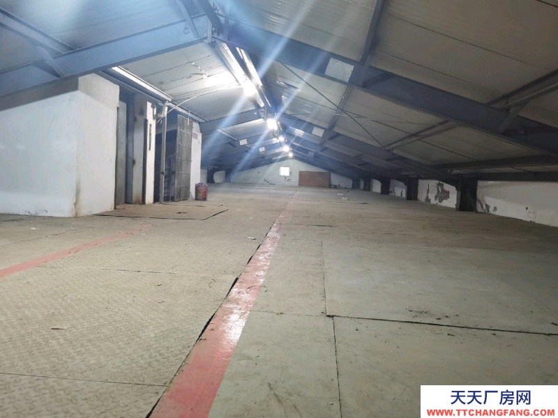 臺州市玉環縣(出租) 二層閣樓倉庫，月租金每平方7元，電梯上下貨，大車進出方便