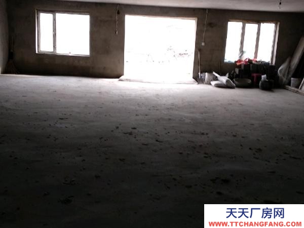 前進水源山公園南面新立屯 倉庫 500平米