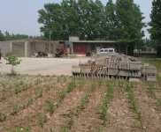 (出租) 出租鶴壁淇濱東楊工業區曹洼