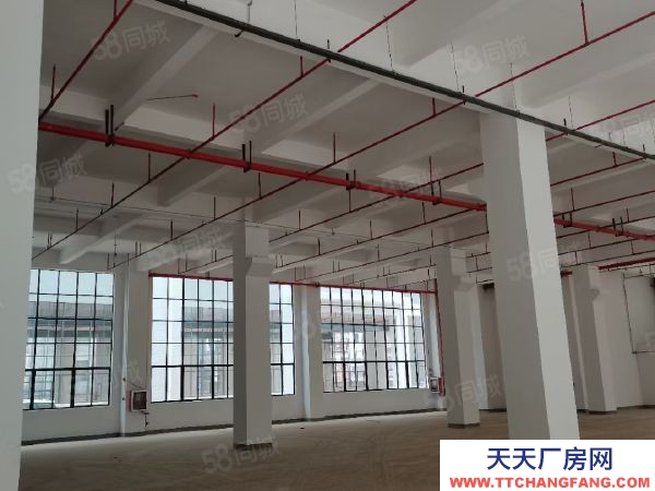 贛州市南康家具廠 家具核心區(qū)標(biāo)準(zhǔn)廠房出租