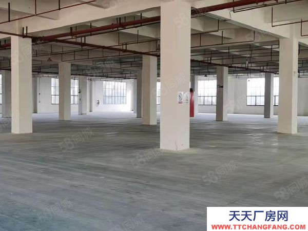贛州市南康家具廠 家具核心區標準廠房出租