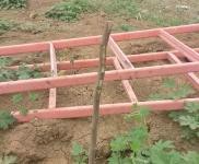 (出租) 鶴壁淇濱農村大院空閑，離快速通道很近，可改造使用。