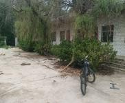 (出租)鶴壁浚縣四棟庫房，占地7畝，帶住房，獨立水電，寬帶，白寺京東對面，