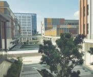 (出租) 桂林秀峰政府扶持項目 青網數字經濟產業園 火爆招商中 歡迎入駐