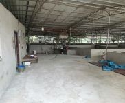 (出租) (51旺鋪)桂林市秀峰4000平大型養(yǎng)豬場(chǎng)出租設(shè)備設(shè)施齊全