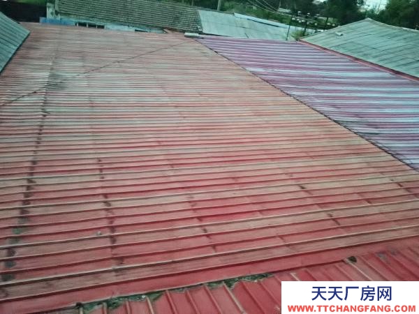 東風(fēng)面談，有動(dòng)力電有上下水，還有車(chē)間供暖 果凍廠房