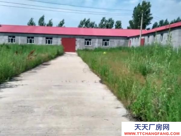 郊區舉架高5m 寬15m 長60m 堅果廠房