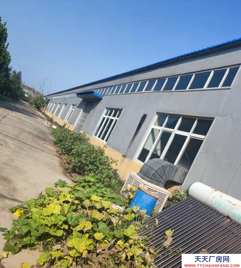 衡水 武強(qiáng) 預(yù)制調(diào)理肉制品廠房 出租) 廠房及辦公樓