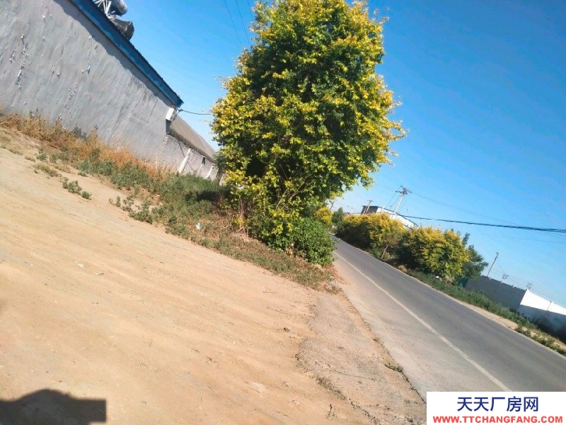 衡水 饒陽(出租發酵肉制品廠房) 獨門獨院水電齊全交通便利